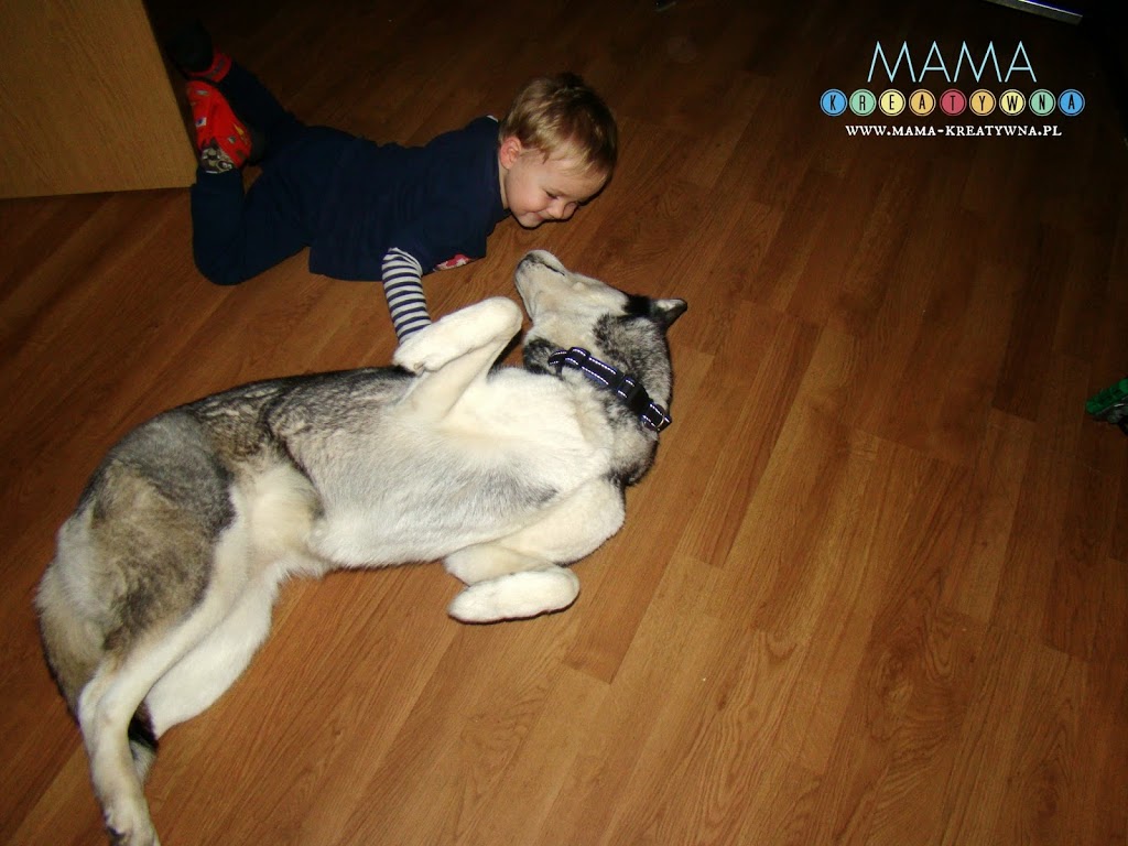 relacje dziecka i psa